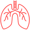 Icon of a lung