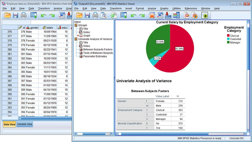 Picture of IBM SPSS tools.